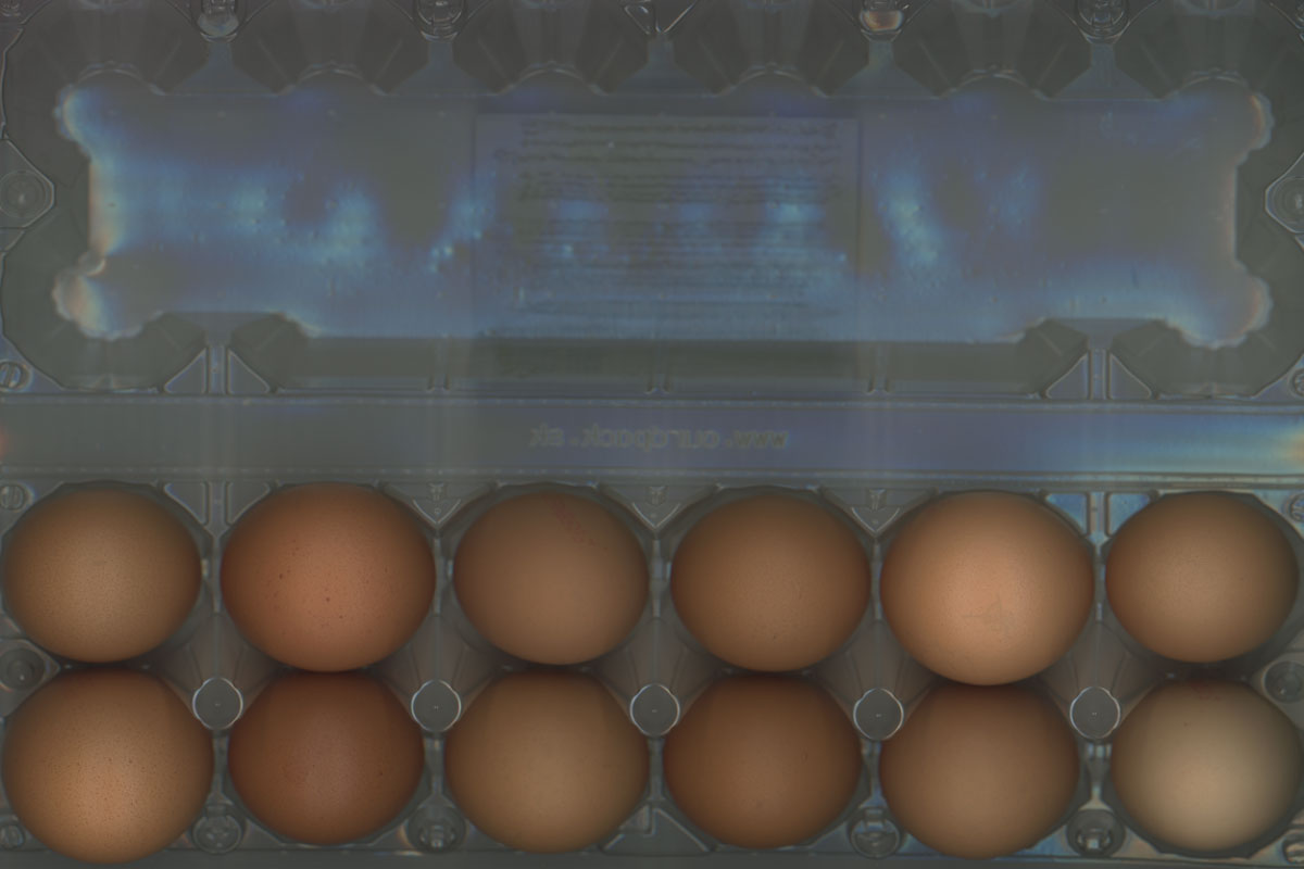 A DOZEN BATTERY EGGS, FRANPRIX, PARIS, 2020 KATERINA JEBB