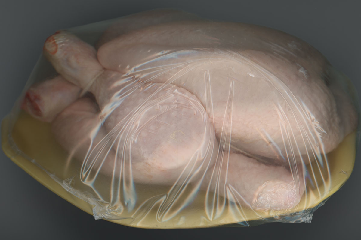 SUPERMARKET CHICKEN, GRAND CHALET BALTHUS, 2020 KATHERINA JEBB