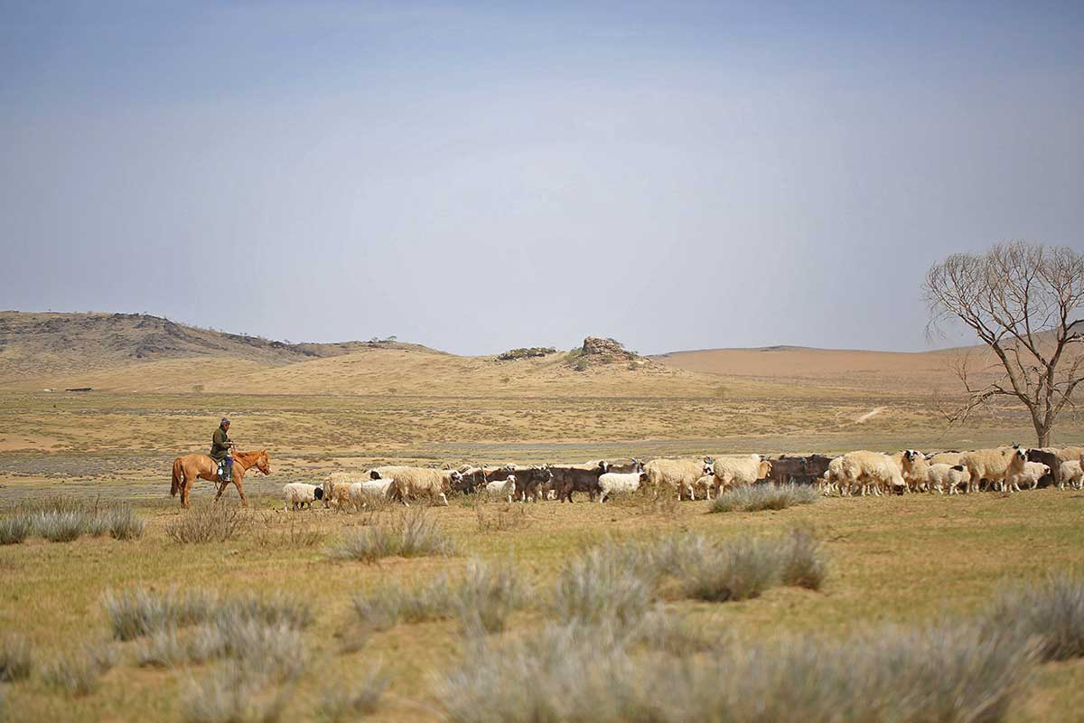 The Mongolian steppe-Photography FAO/P. Khangaikhuu