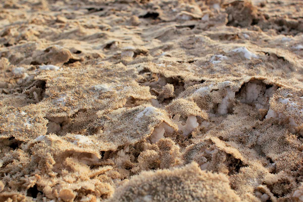 Salt crust forms at a sabkha in Liwa, UAE. Photography Wael Al Awar