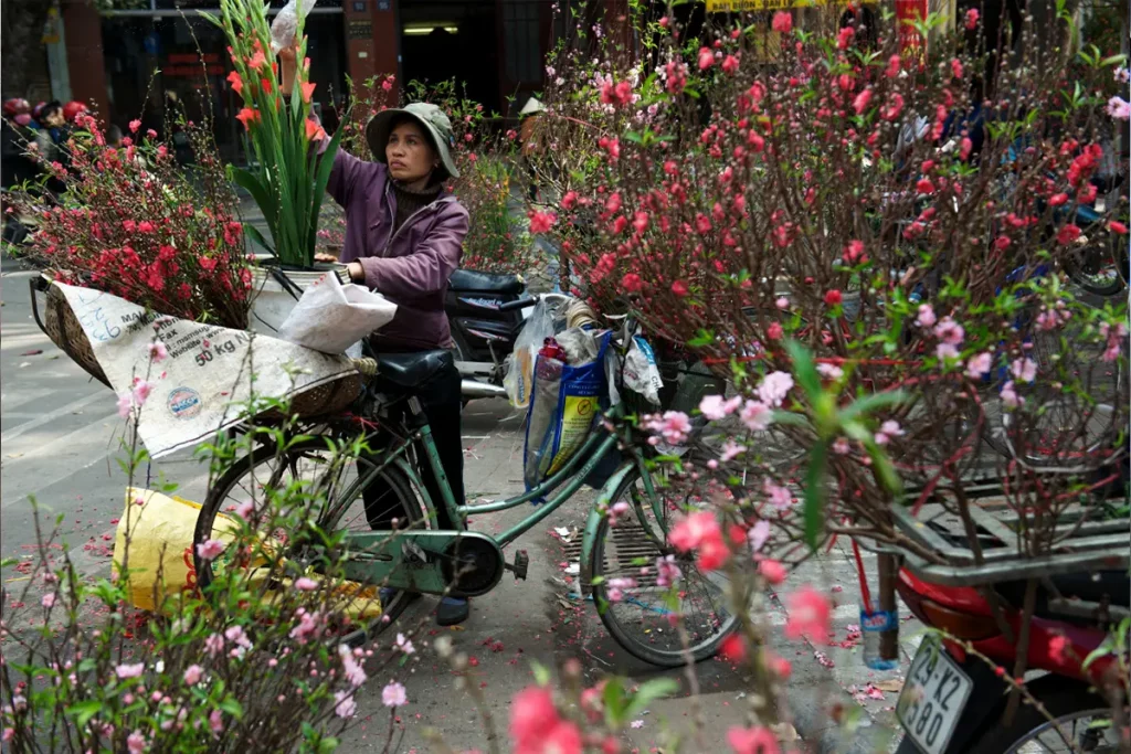 Lampoon, Hanoi, Vietnam A flower seller plies her trade in the old quarter prior to the _Tet_ (New Year) holiday,Jeremy Horner,Panos Pictures